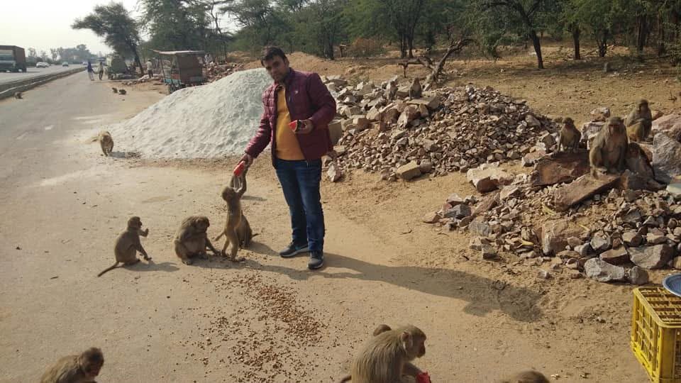 Animal Care